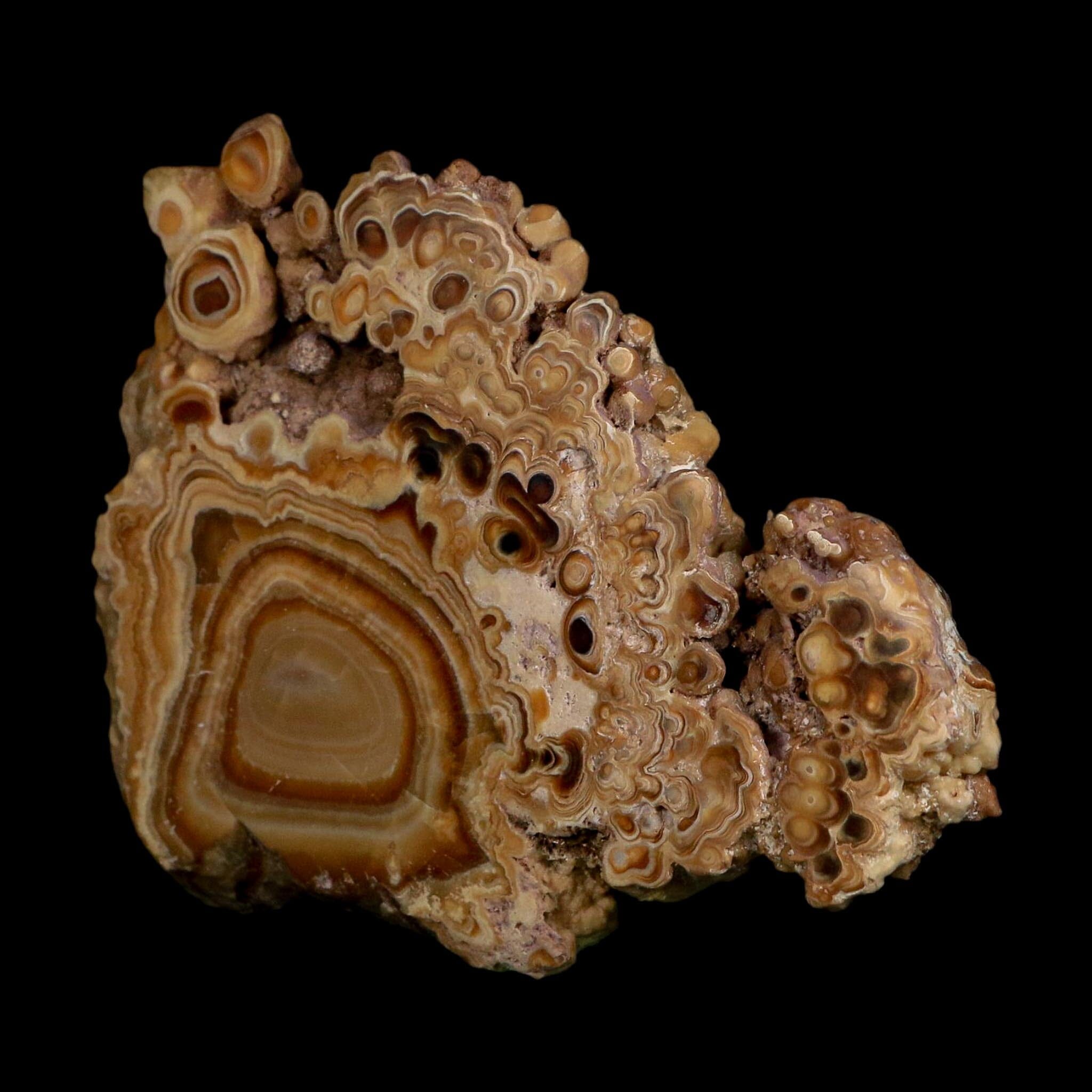4.4" Aragonite Stalactite Slice Cave Calcite Crystal Mineral Specimen Morocco