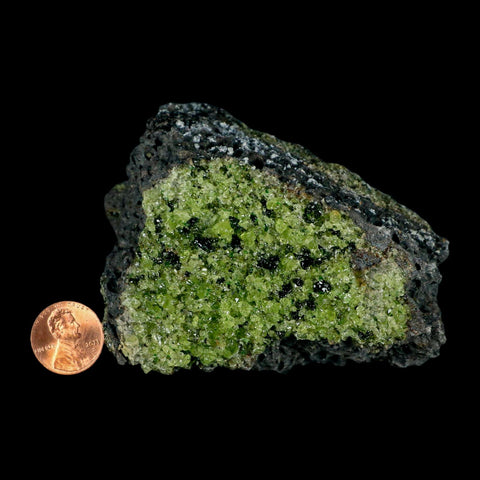 3.8" Natural Emerald Peridot Crystal Minerals On Volcanic Rock Gila, Arizona - Fossil Age Minerals