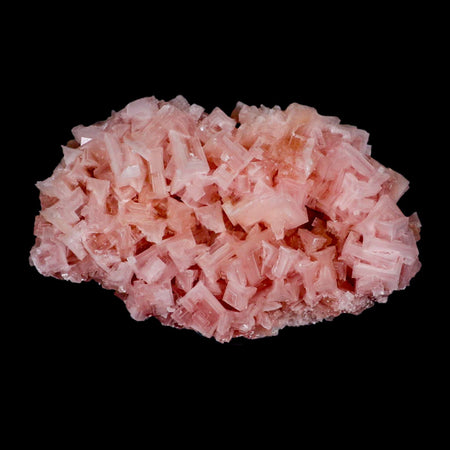 7.2" Quality Pink Halite Salt Crystals Cluster Mineral Trona, CA Searles Lake Stand