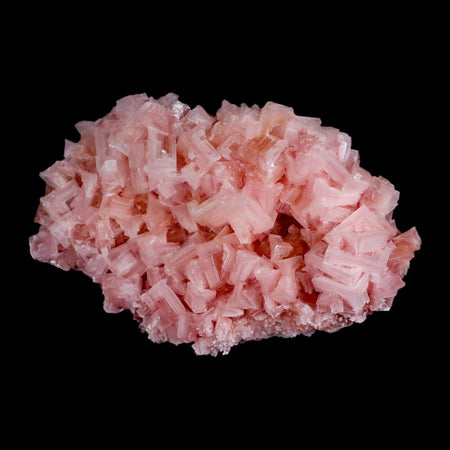 7.2" Quality Pink Halite Salt Crystals Cluster Mineral Trona, CA Searles Lake Stand