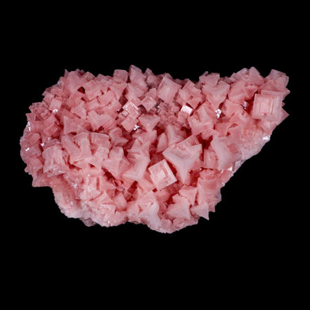 8" Quality Pink Halite Salt Crystals Cluster Mineral Trona, CA Searles Lake Stand