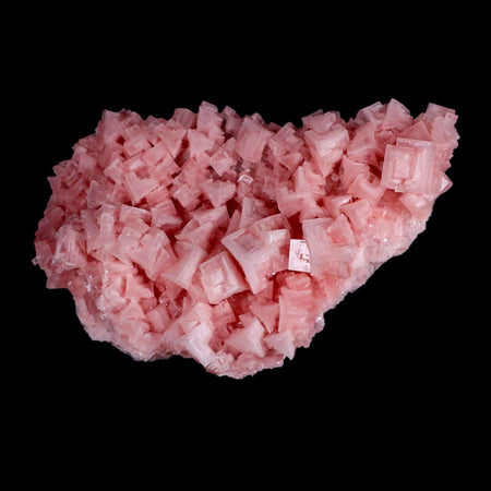 8" Quality Pink Halite Salt Crystals Cluster Mineral Trona, CA Searles Lake Stand