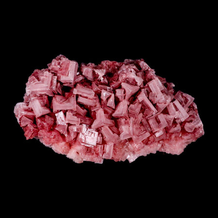 7.5" Quality Deep Pink Halite Salt Crystals Cluster Mineral Trona, CA Searles Lake Stand