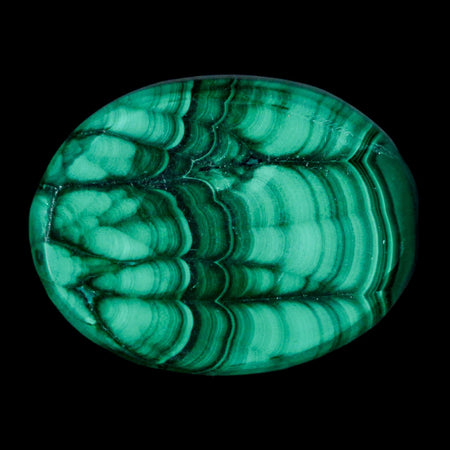 1.7" Dark Green Malachite Polished Palm Stone Mineral Specimen Republic of the Congo