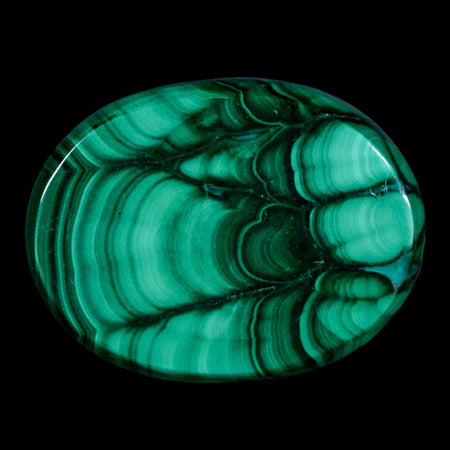 1.7" Dark Green Malachite Polished Palm Stone Mineral Specimen Republic of the Congo