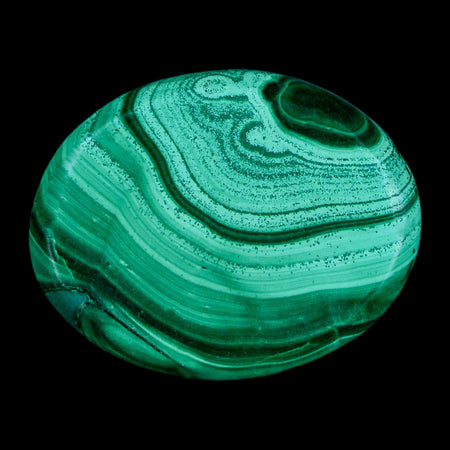 1.7" Dark Green Malachite Polished Palm Stone Mineral Specimen Republic of the Congo