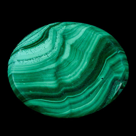 1.7" Dark Green Malachite Polished Palm Stone Mineral Specimen Republic of the Congo