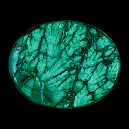 1.8" Dark Green Malachite Polished Palm Stone Mineral Specimen Republic of the Congo