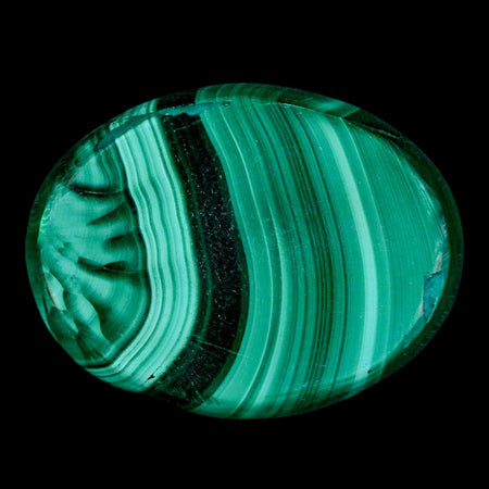 1.9" Dark Green Malachite Polished Palm Stone Mineral Specimen Republic of the Congo