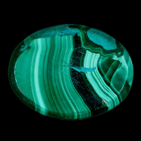 1.9" Dark Green Malachite Polished Palm Stone Mineral Specimen Republic of the Congo
