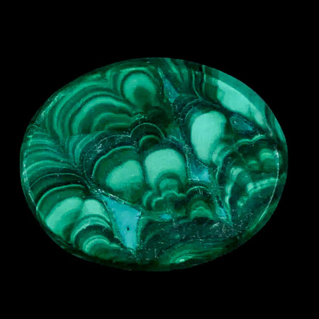 1.5" Dark Green Malachite Polished Palm Stone Mineral Specimen Republic of the Congo