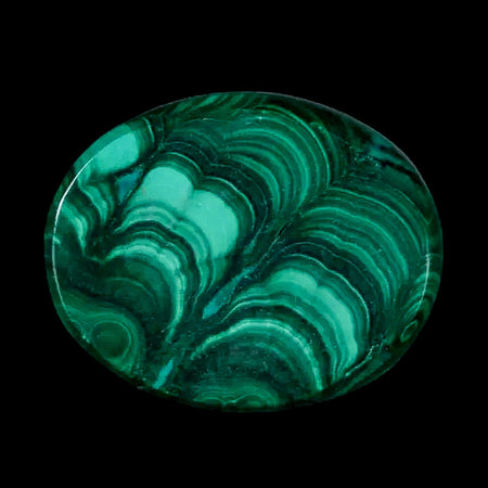 1.5" Dark Green Malachite Polished Palm Stone Mineral Specimen Republic of the Congo