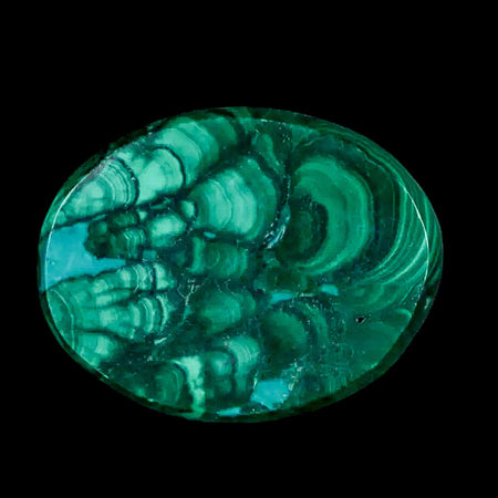1.8" Dark Green Malachite Polished Palm Stone Mineral Specimen Republic of the Congo