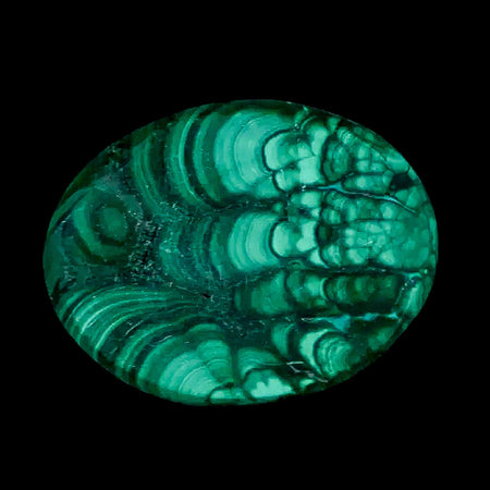 1.8" Dark Green Malachite Polished Palm Stone Mineral Specimen Republic of the Congo