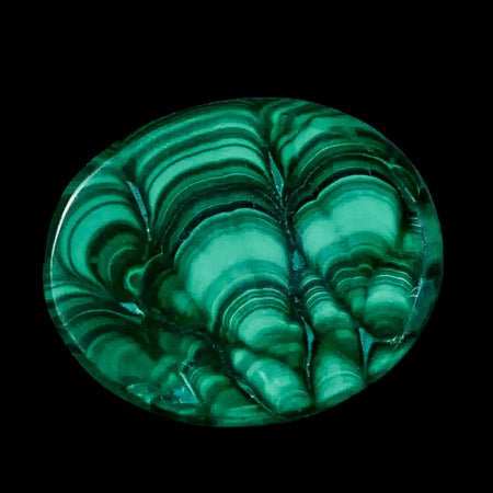 1.7" Dark Green Malachite Polished Palm Stone Mineral Specimen Republic of the Congo
