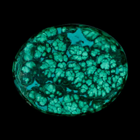 1.7" Dark Green Malachite Polished Palm Stone Mineral Specimen Republic of the Congo