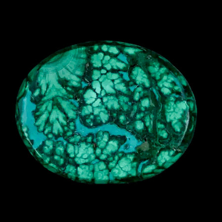 1.7" Dark Green Malachite Polished Palm Stone Mineral Specimen Republic of the Congo