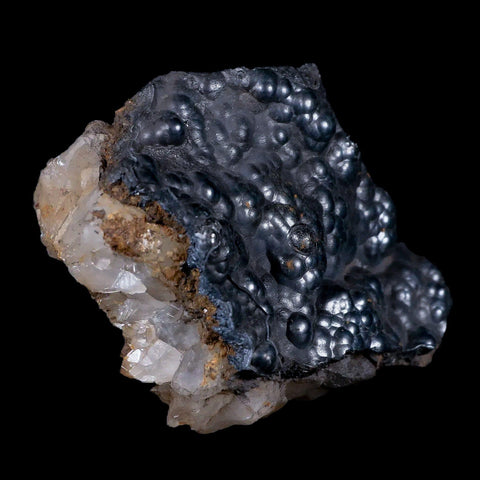 3.1" Hematite Botryoidal Kidney Ore Rock Mineral Crystal Irhoud Mine, Morocco - Fossil Age Minerals