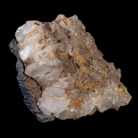 3.1" Hematite Botryoidal Kidney Ore Rock Mineral Crystal Irhoud Mine, Morocco - Fossil Age Minerals