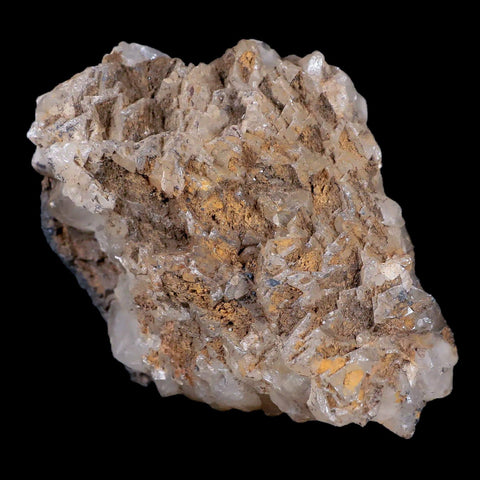 3.1" Hematite Botryoidal Kidney Ore Rock Mineral Crystal Irhoud Mine, Morocco - Fossil Age Minerals