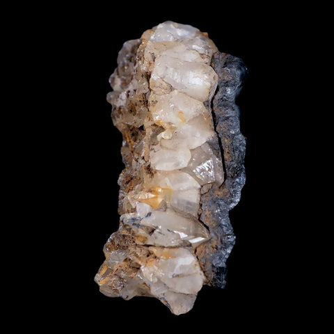 3.1" Hematite Botryoidal Kidney Ore Rock Mineral Crystal Irhoud Mine, Morocco - Fossil Age Minerals