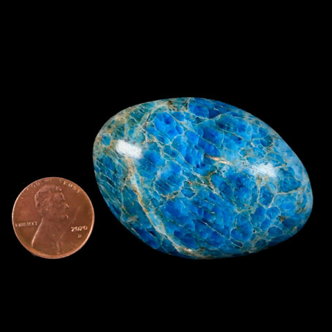 2.1" Natural Polished Blue Apatite Palm Stone Crystal Mineral Specimen Madagascar - Fossil Age Minerals