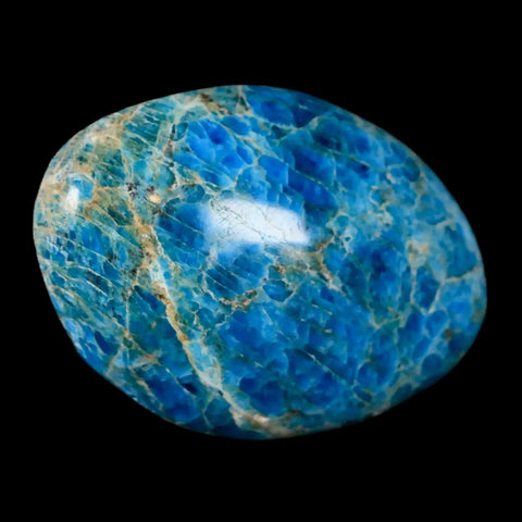 2.1" Natural Polished Blue Apatite Palm Stone Crystal Mineral Specimen Madagascar - Fossil Age Minerals