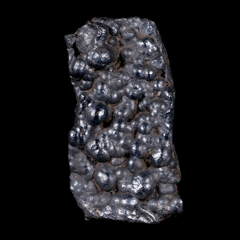 2.6" Hematite Botryoidal Kidney Ore Rock Mineral Specimen Irhoud Mine, Morocco - Fossil Age Minerals