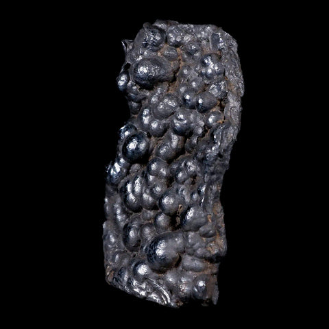 2.6" Hematite Botryoidal Kidney Ore Rock Mineral Specimen Irhoud Mine, Morocco - Fossil Age Minerals