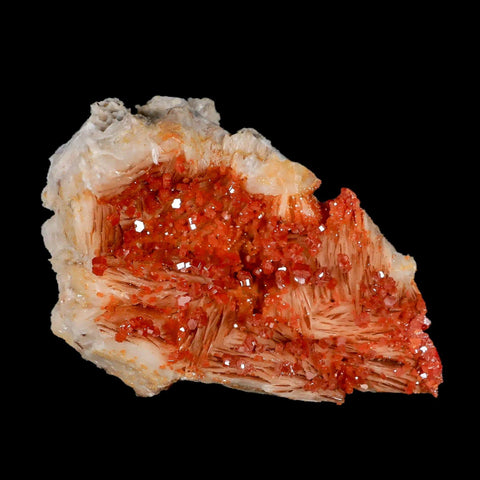3.3" Sparkly Orange Vanadinite Crystals White Barite Blades Mineral Mabladen Morocco - Fossil Age Minerals