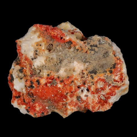 2.7" Sparkly Red Vanadinite Crystals White Barite Blades Mineral Mabladen Morocco - Fossil Age Minerals