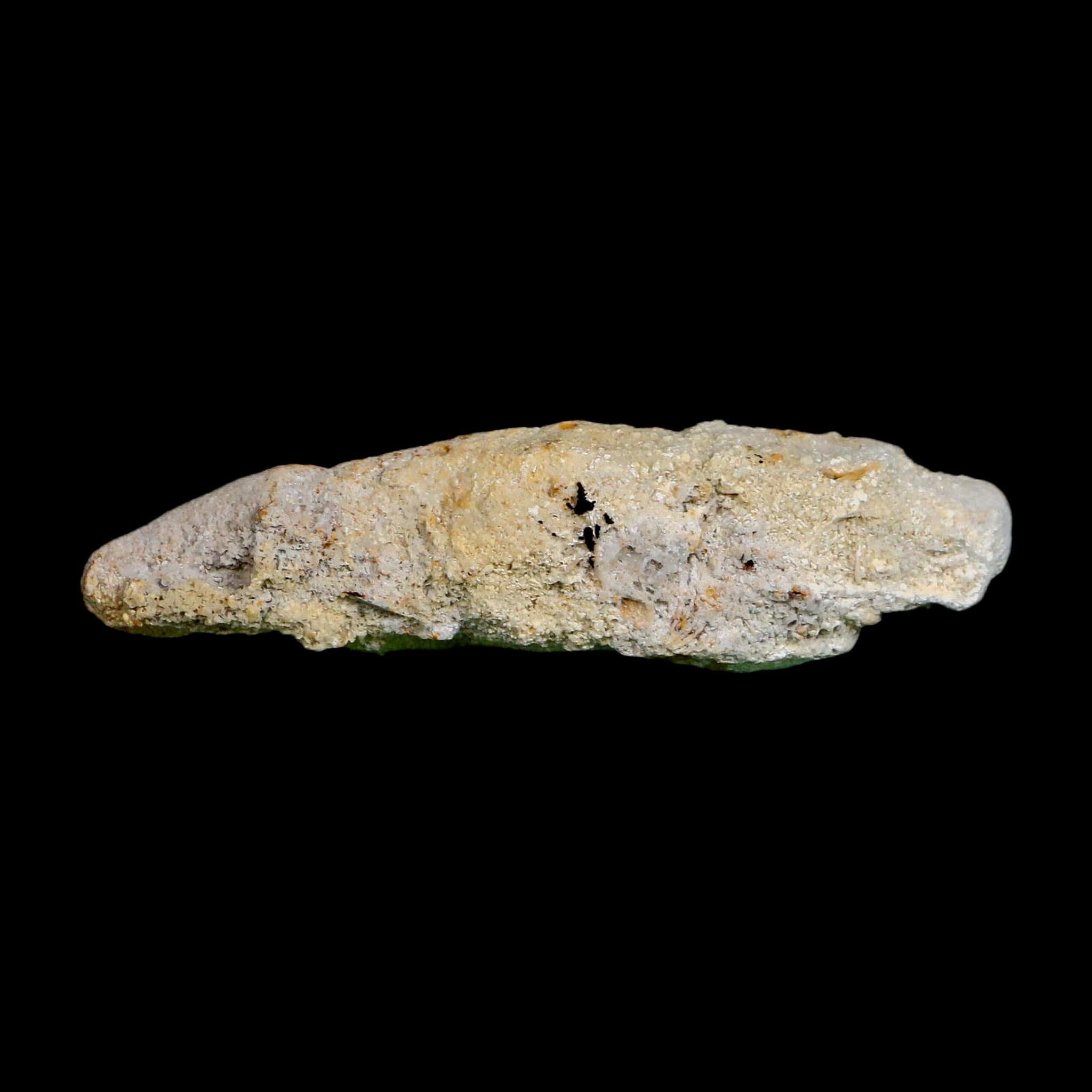 2.7" Agatized Coral Slabs Fossil Oligocene and Miocene Epochs Suwannee River Florida - Fossil Age Minerals