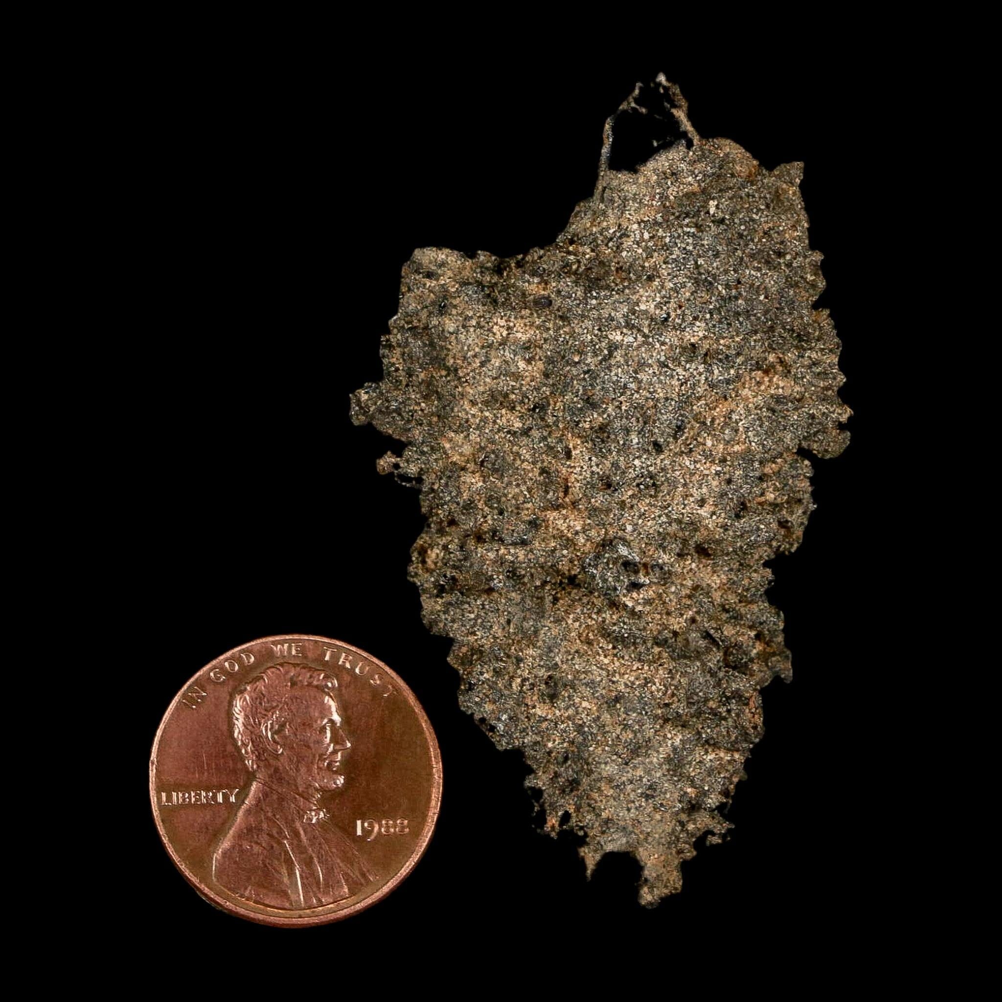 2.1" Fulgurite Petrified Lightning Strike Glass Sahara Desert Algeria - Fossil Age Minerals