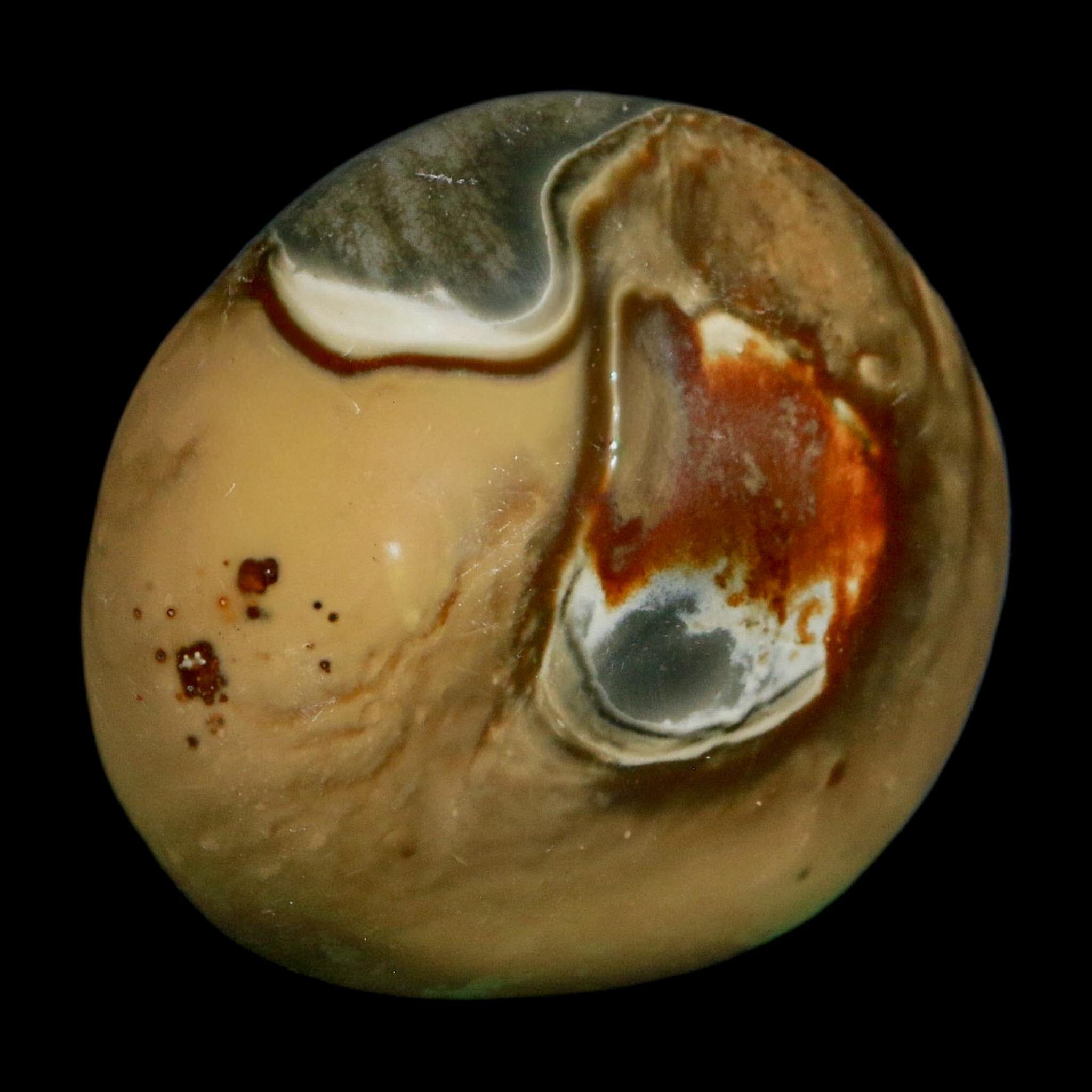 2.1" Polychrome Jasper Natural Polished Mineral Palm Stone Madagascar - Fossil Age Minerals