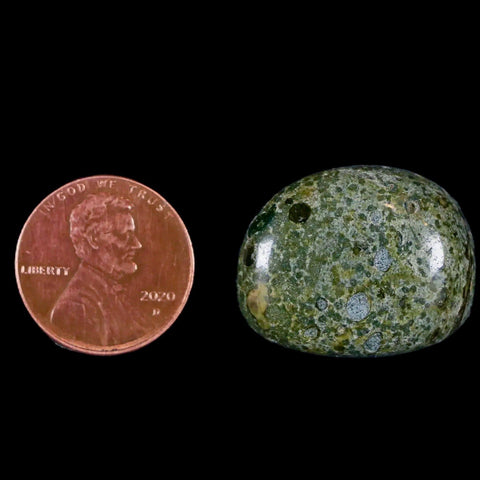 1" Polished Natural Dragon Blood Jasper Mineral Stone Western Australia - Fossil Age Minerals