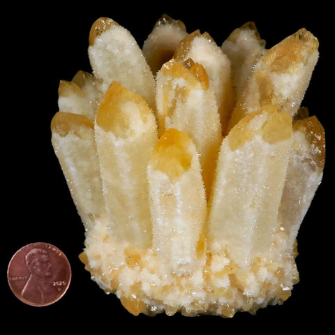 3.4" Yellow Phantom Ghost Quartz Crystal, Chlorite Cluster Mineral Specimen - Fossil Age Minerals