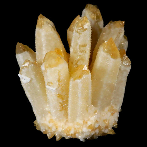 3.4" Yellow Phantom Ghost Quartz Crystal, Chlorite Cluster Mineral Specimen - Fossil Age Minerals
