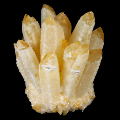 3.4" Yellow Phantom Ghost Quartz Crystal, Chlorite Cluster Mineral Specimen - Fossil Age Minerals
