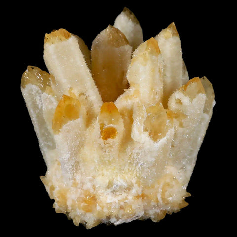 3.4" Yellow Phantom Ghost Quartz Crystal, Chlorite Cluster Mineral Specimen - Fossil Age Minerals