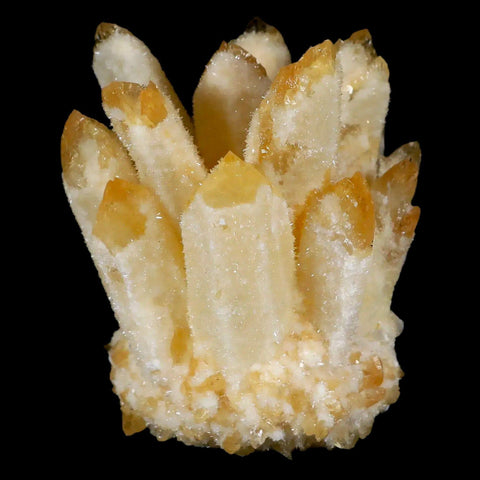 3.4" Yellow Phantom Ghost Quartz Crystal, Chlorite Cluster Mineral Specimen - Fossil Age Minerals