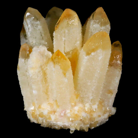 3.1" Yellow Phantom Ghost Quartz Crystal, Chlorite Cluster Mineral Specimen - Fossil Age Minerals