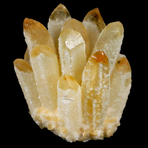 3.1" Yellow Phantom Ghost Quartz Crystal, Chlorite Cluster Mineral Specimen - Fossil Age Minerals