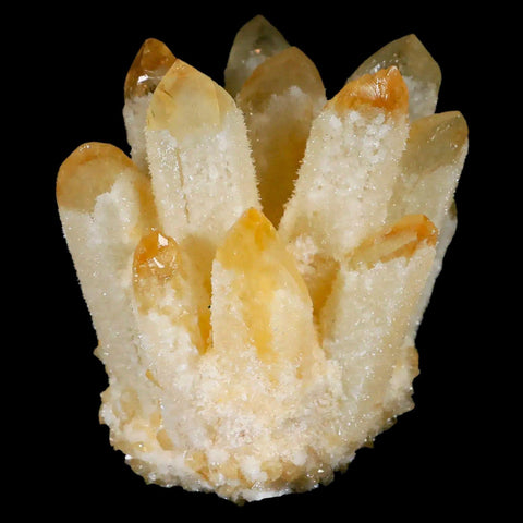 3.1" Yellow Phantom Ghost Quartz Crystal, Chlorite Cluster Mineral Specimen - Fossil Age Minerals