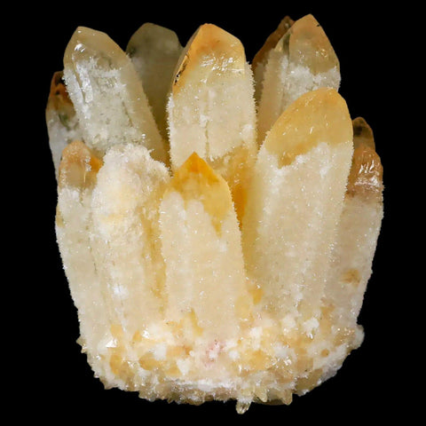 3.1" Yellow Phantom Ghost Quartz Crystal, Chlorite Cluster Mineral Specimen - Fossil Age Minerals