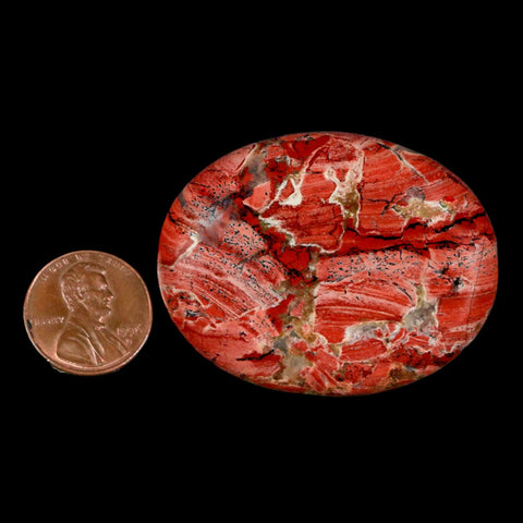 2" Polished Natural Brecciated Jasper Stone Worry Palm Stone Minas Gerais Brazil - Fossil Age Minerals