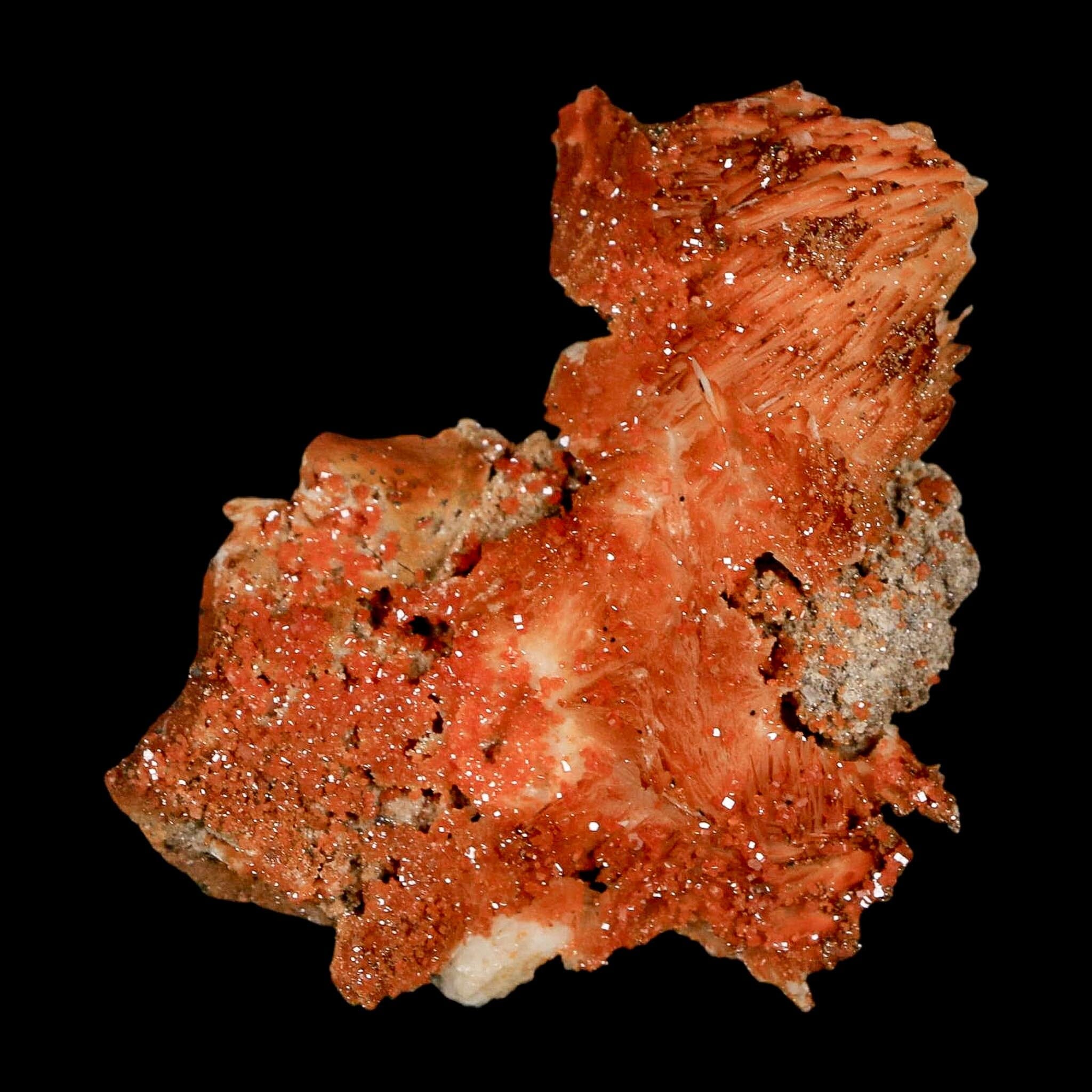 2.5" Sparkly Orange Vanadinite Crystals Orange Barite Blades Mineral Mabladen Morocco - Fossil Age Minerals