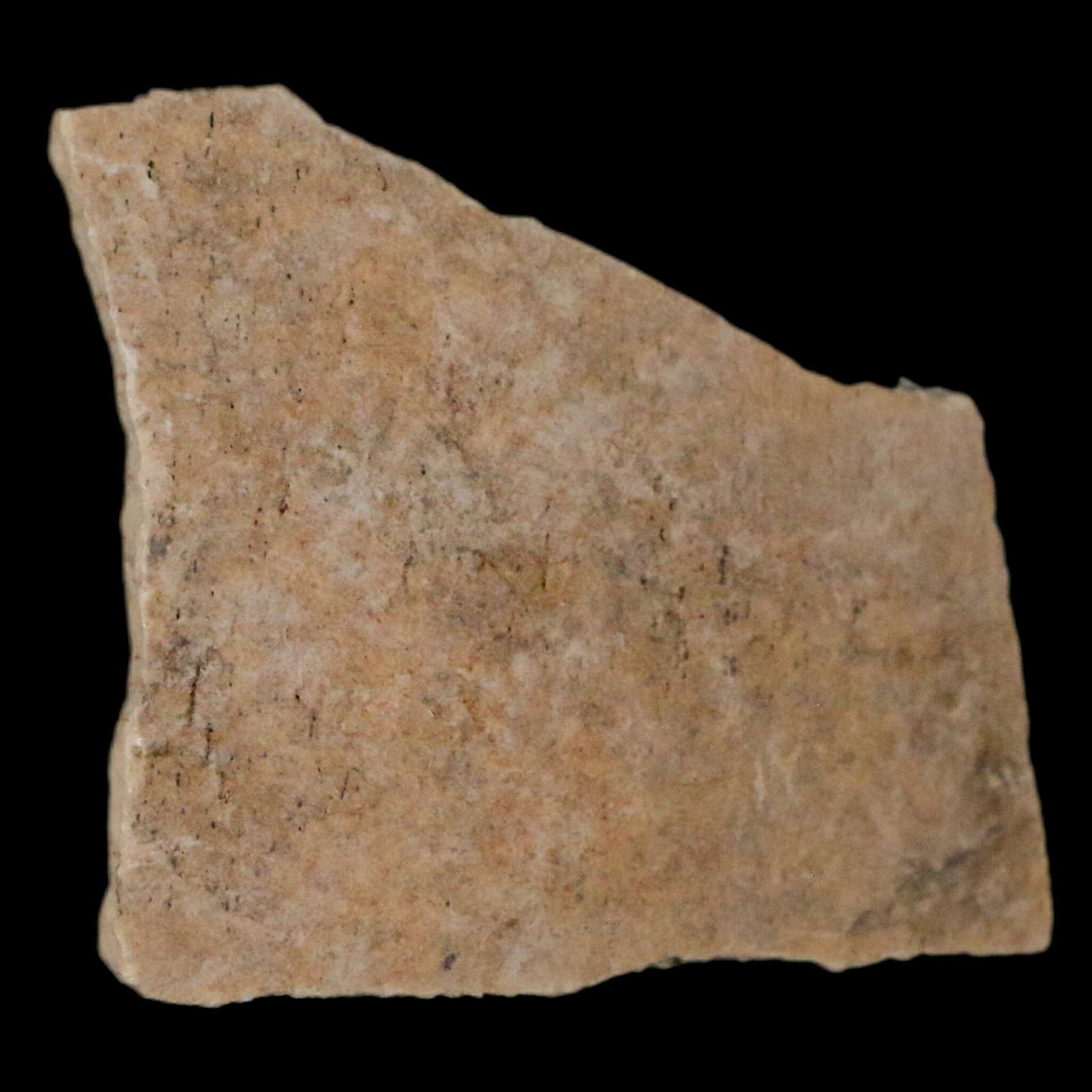 2.2" Elephant Bird Aepyornis Maximus Egg Shell Specimen Late Pleistocene Madagascar - Fossil Age Minerals
