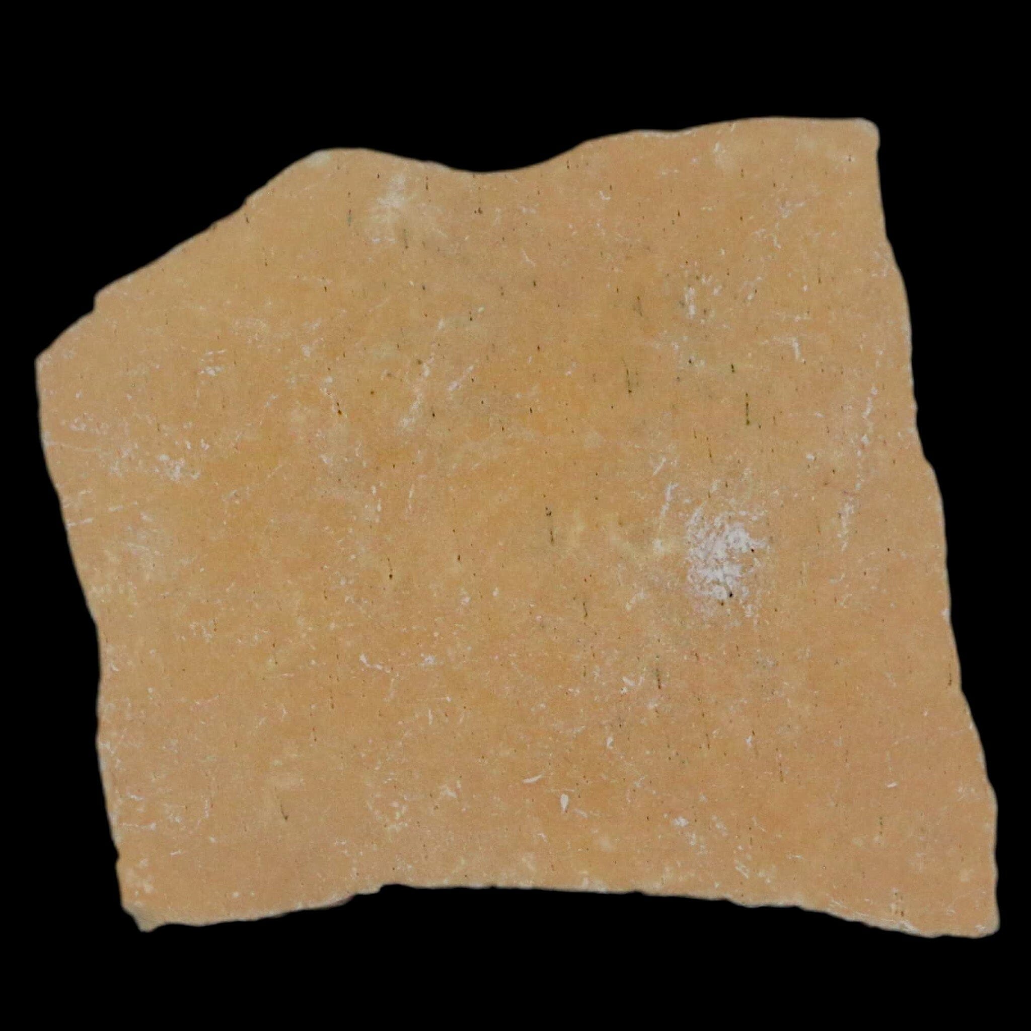 2.1" Elephant Bird Aepyornis Maximus Egg Shell Specimen Late Pleistocene Madagascar - Fossil Age Minerals