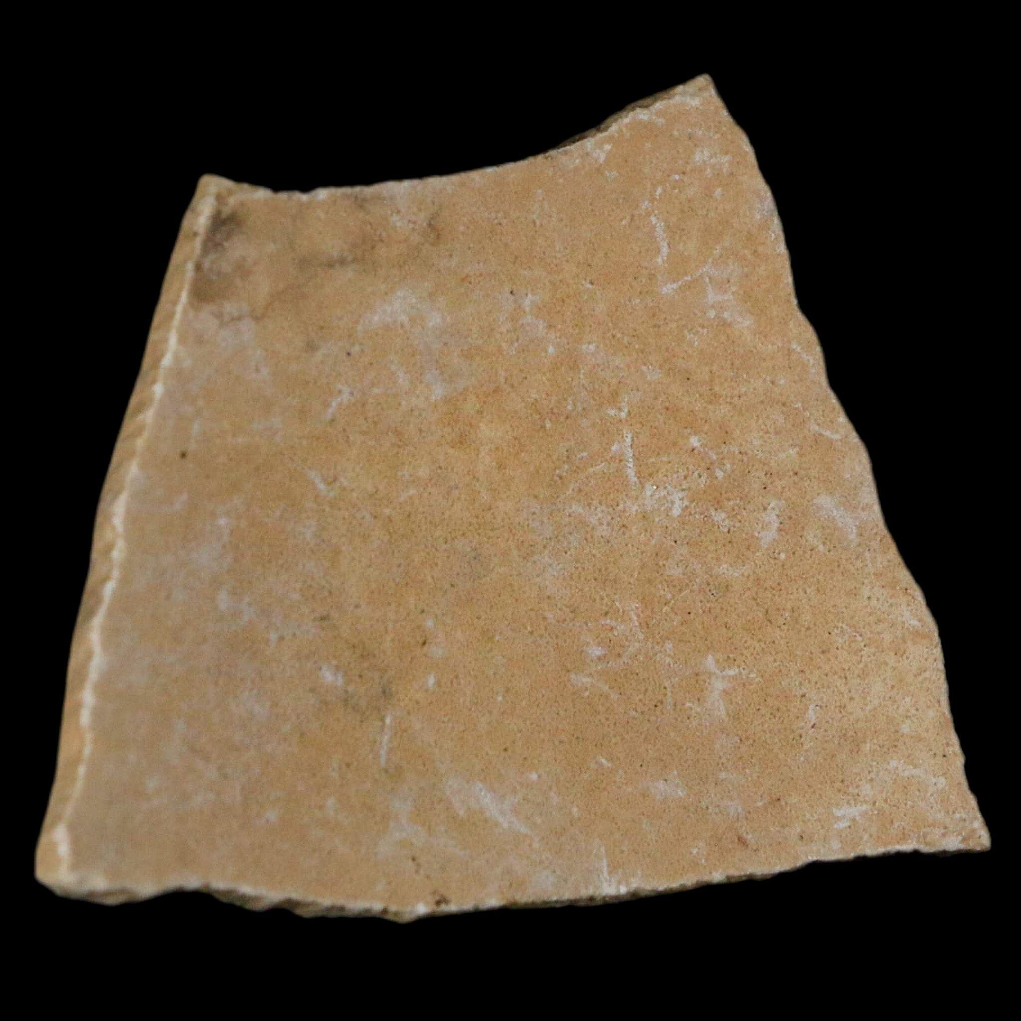 2.6" Elephant Bird Aepyornis Maximus Egg Shell Specimen Late Pleistocene Madagascar - Fossil Age Minerals