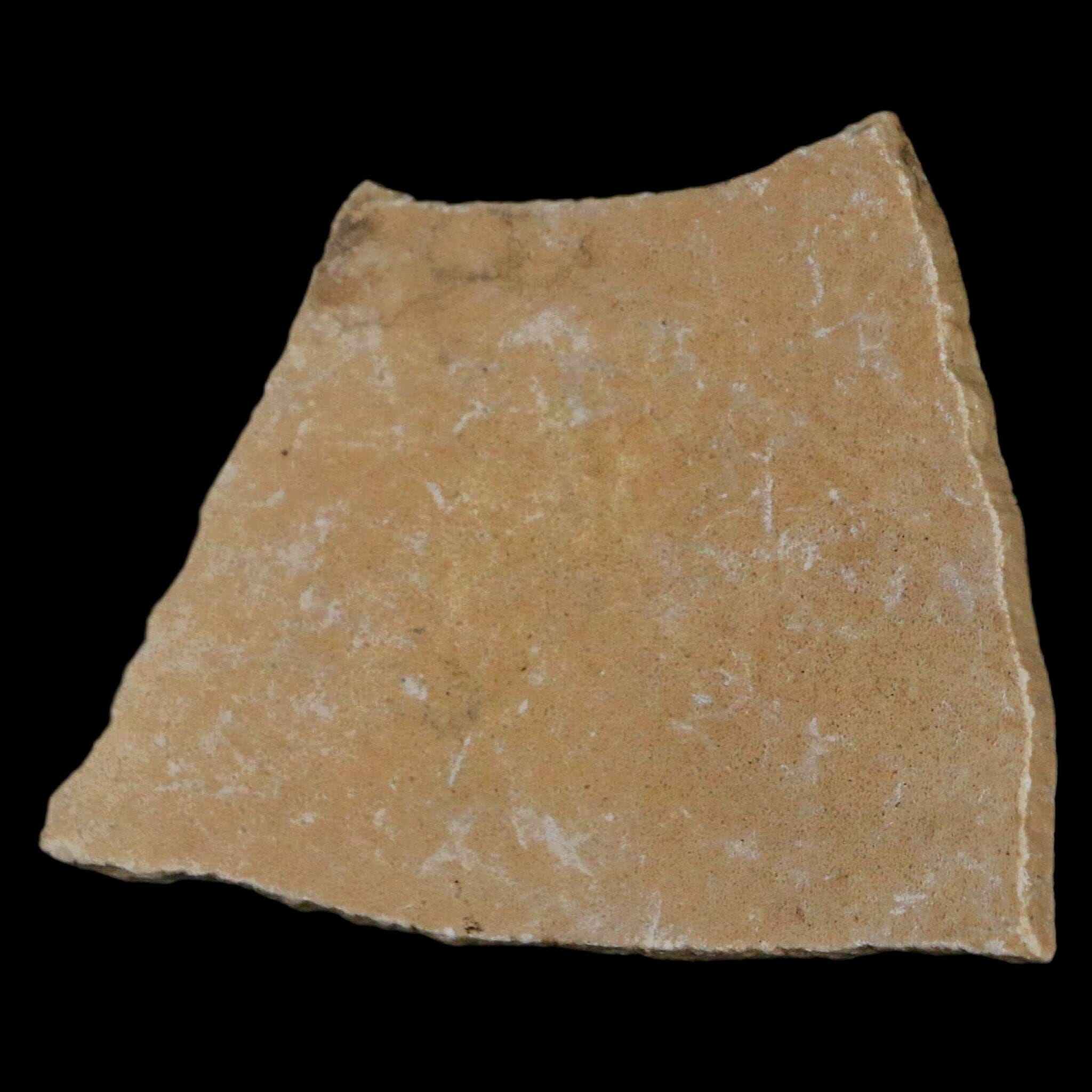 2.6" Elephant Bird Aepyornis Maximus Egg Shell Specimen Late Pleistocene Madagascar - Fossil Age Minerals